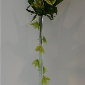 fwthumbLime Orchid.jpg
